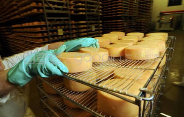 工业食品生产中成熟的奶酪